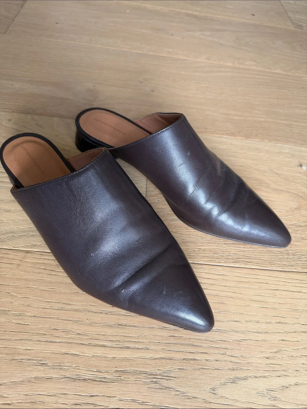 Anthropologie Women’s  Pointed Leather Mules in Dark Brown